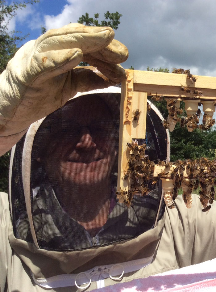 Hexton Bee Keeper